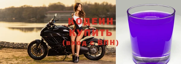 сатива Новозыбков