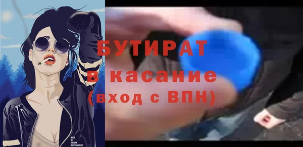 сатива Новозыбков