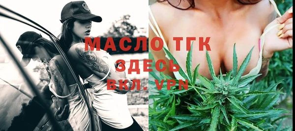 сатива Новозыбков