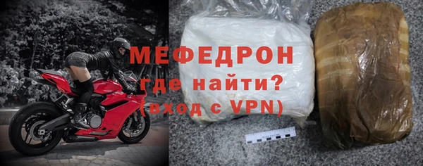 сатива Новозыбков